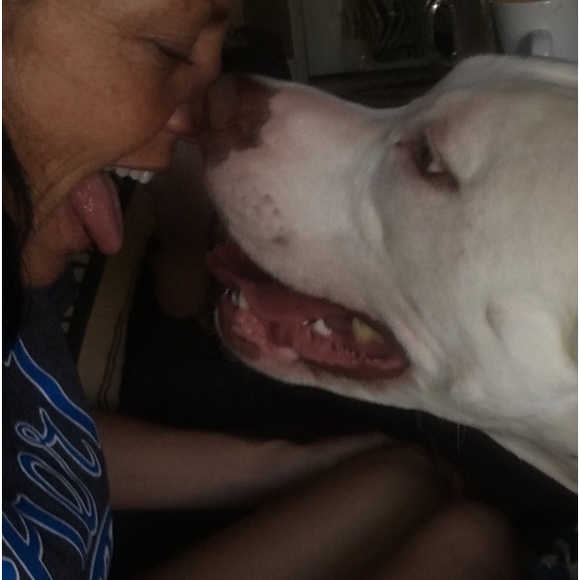 MEET YOUR FELLOW POSHER - Picture 3 of 16